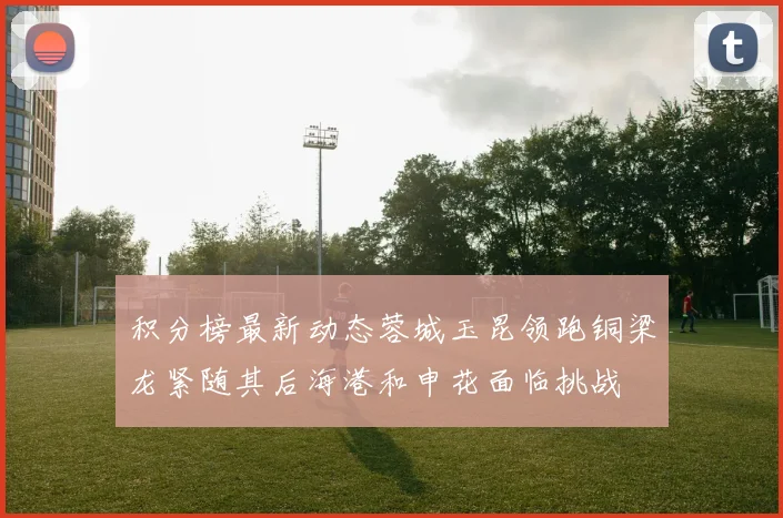 积分榜最新动态蓉城玉昆领跑铜梁龙紧随其后海港和申花面临挑战