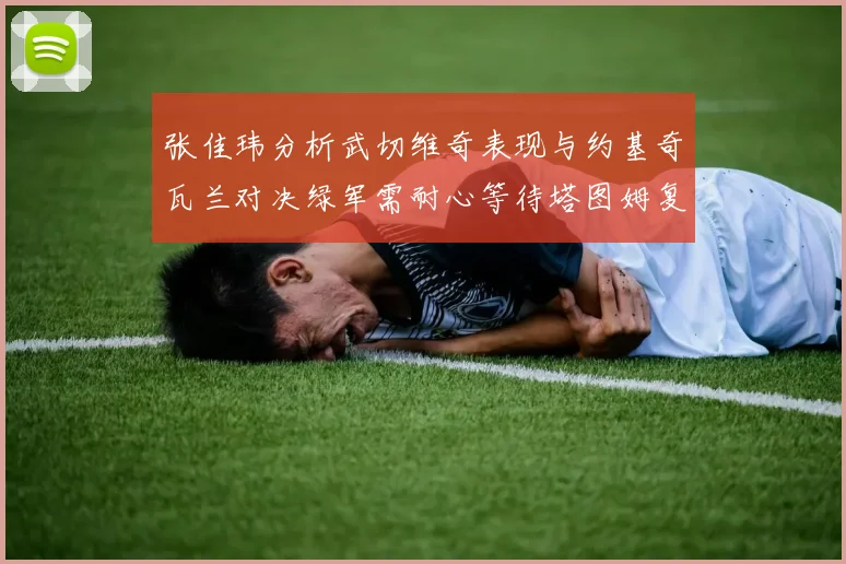 张佳玮分析武切维奇表现与约基奇瓦兰对决绿军需耐心等待塔图姆复出