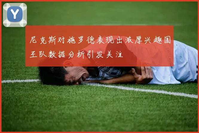 尼克斯对施罗德表现出浓厚兴趣国王队数据分析引发关注