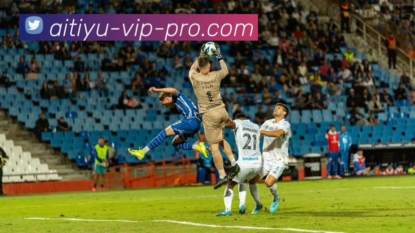 欧宝体育平台生态图